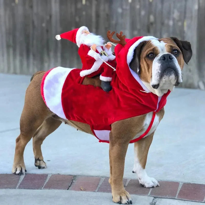 Dog Xmas Outfit - Red Santa Christmas Sweater Costumes for Dogs-Fashion Nora