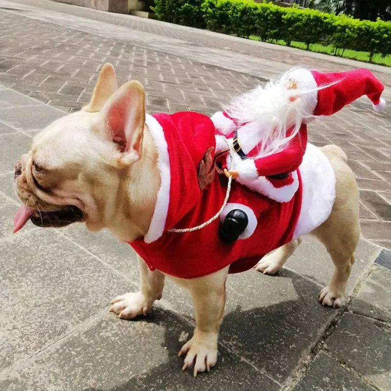 Dog Xmas Outfit - Red Santa Christmas Sweater Costumes for Dogs-Fashion Nora